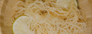 Dried Sea Moss - Gold (50G)