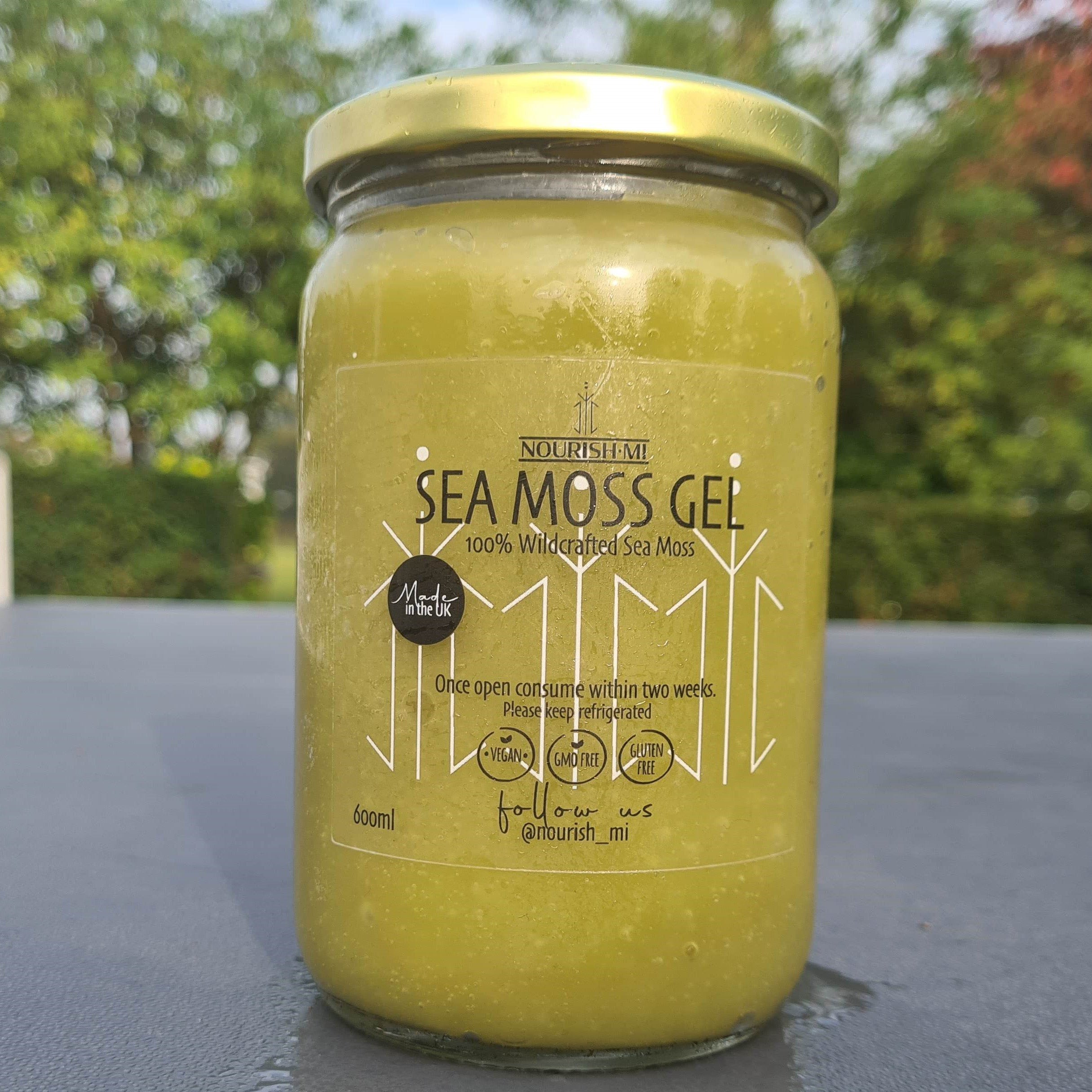 Nourish Mi Sea Moss Gel - Moringa Infusion - Order Now!