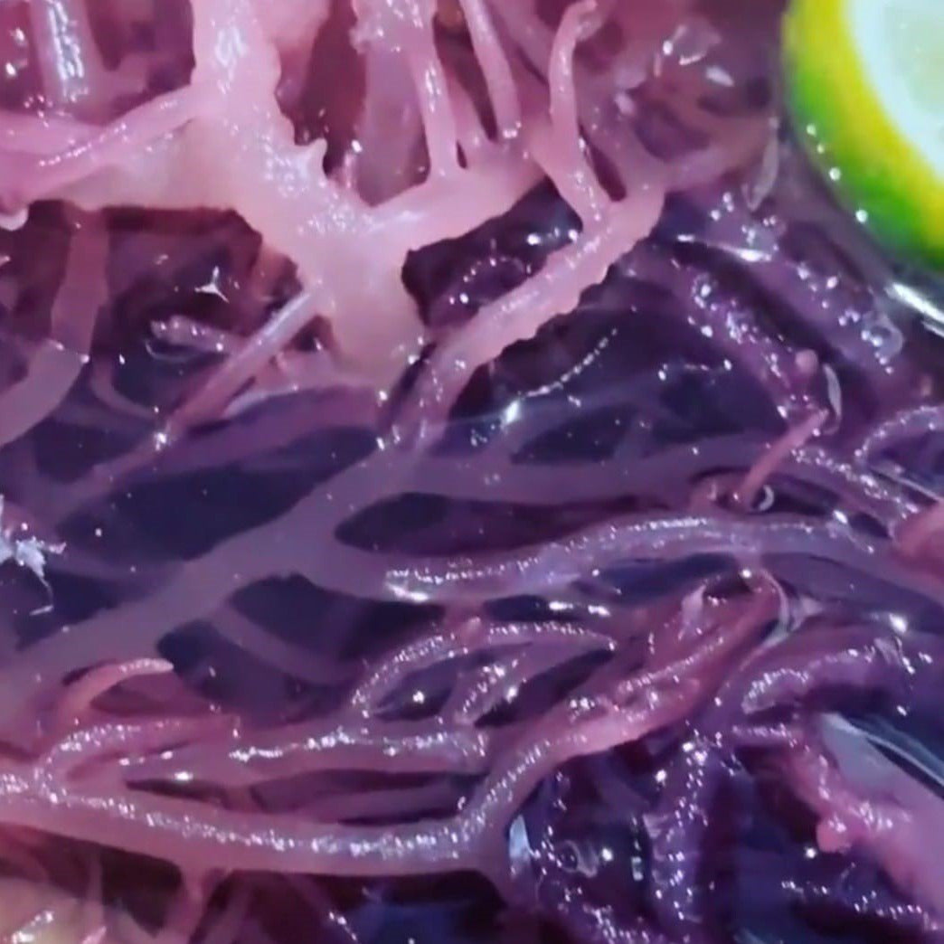 Nourish Mi Purple Sea Moss Gel