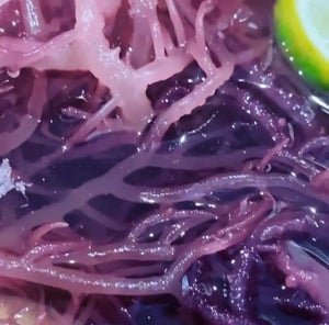 Dried Sea Moss - Purple (50G)